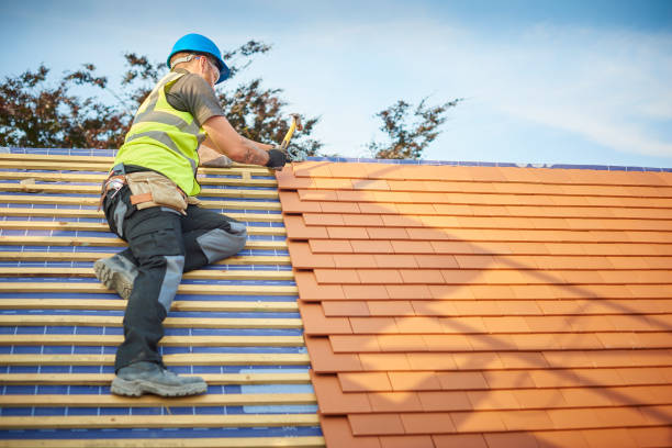 Best Green or Eco-Friendly Roofing Solutions  in Carlin, NV